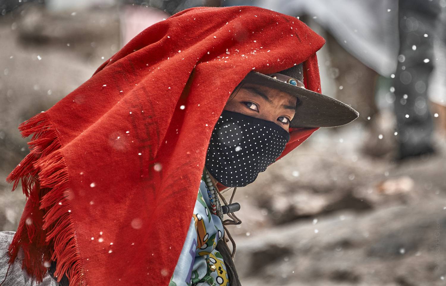 Паломница. Автор: Гиль Александр , Гиль Александр