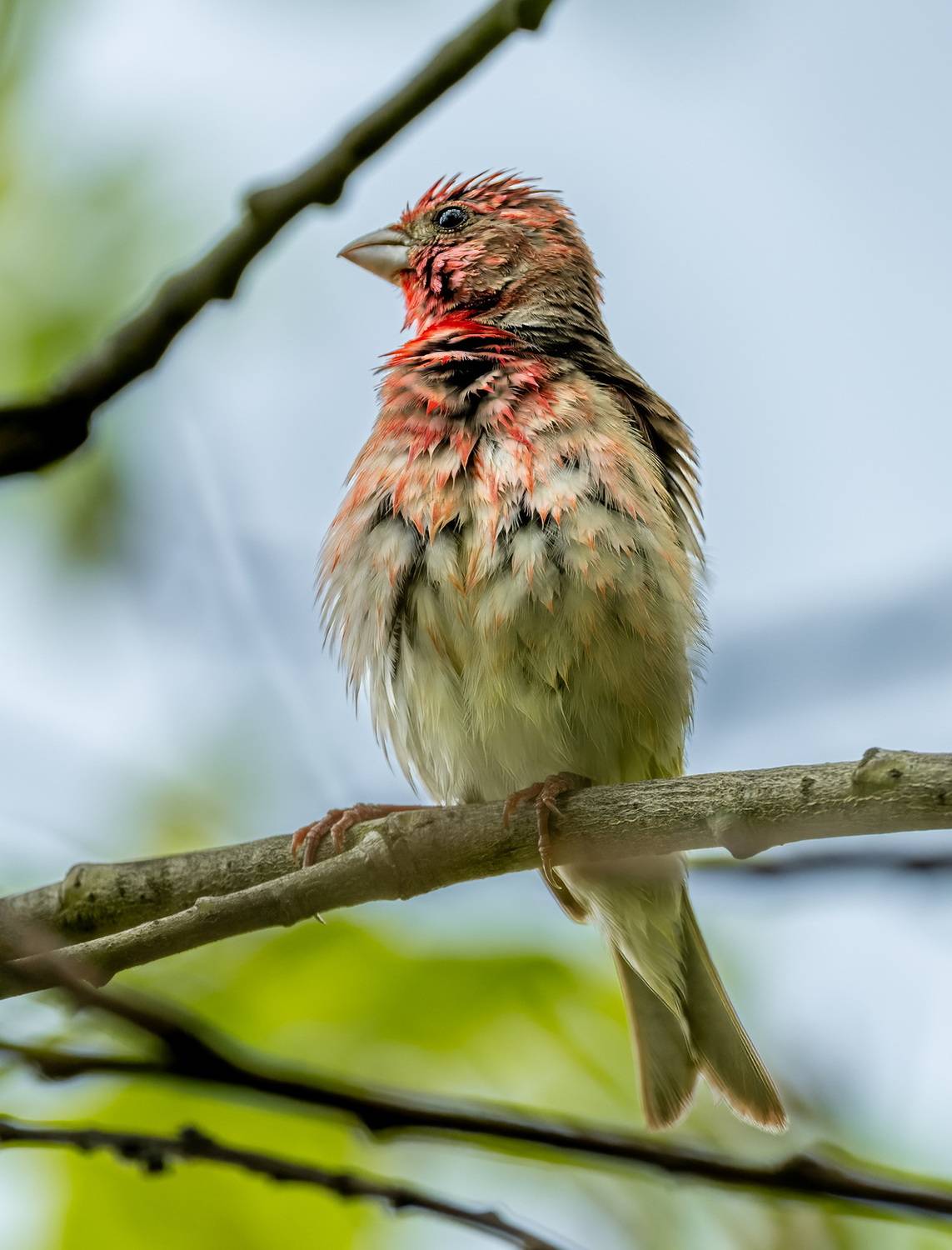 Витя мокрый. Автор: Дэм Константин , Дэм Константин
