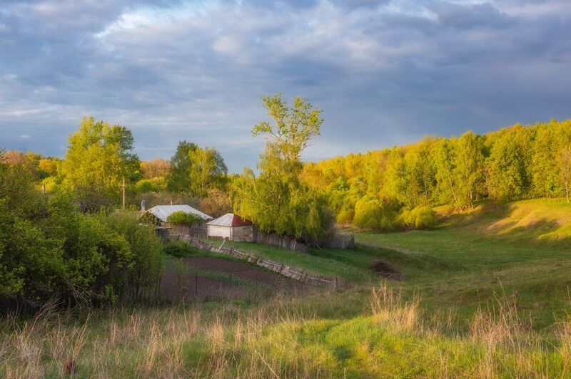 природа, сельский пейзаж, пейзаж, деревня, Тульская область Деревенский пейзажphoto preview