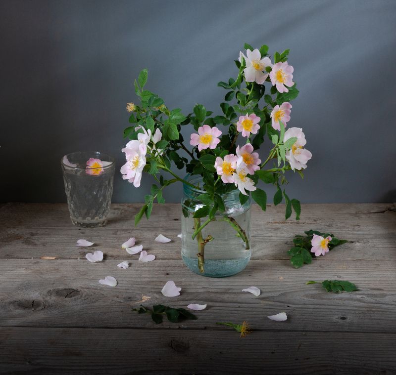 С шиповникомphoto preview