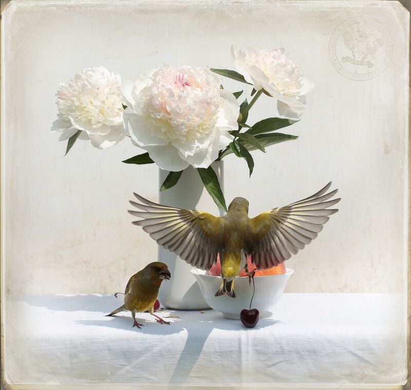 Good day sunshinephoto preview