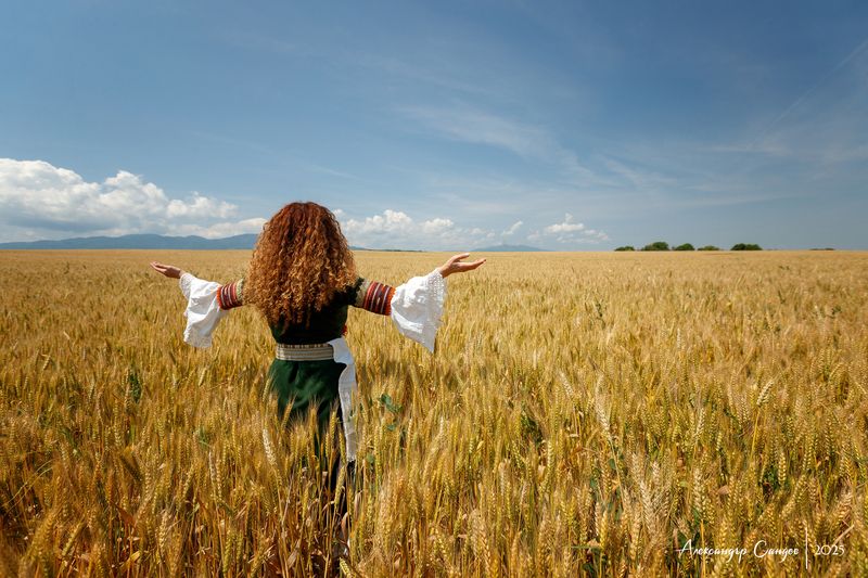 Болгарские просторы фото превью
