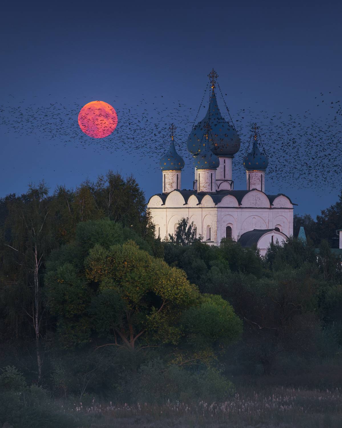 суздаль, полнолуние, архитектура, Natalia Zakharova