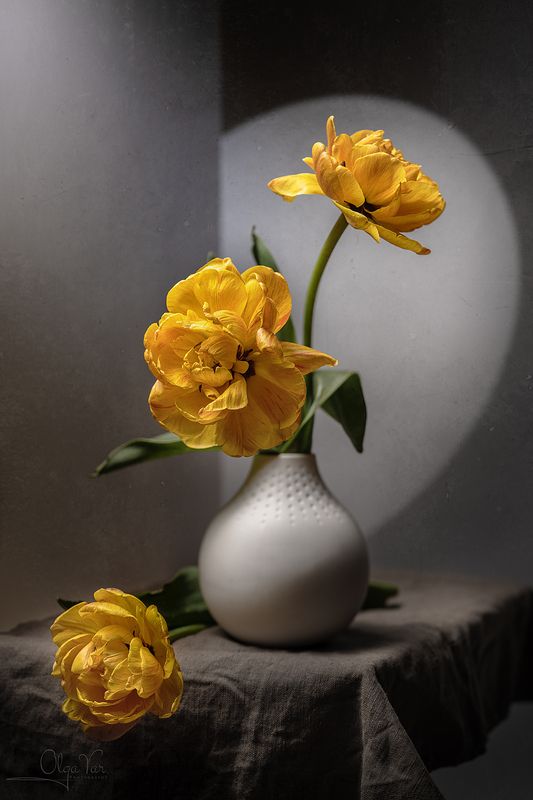 Желтые тюльпаныphoto preview