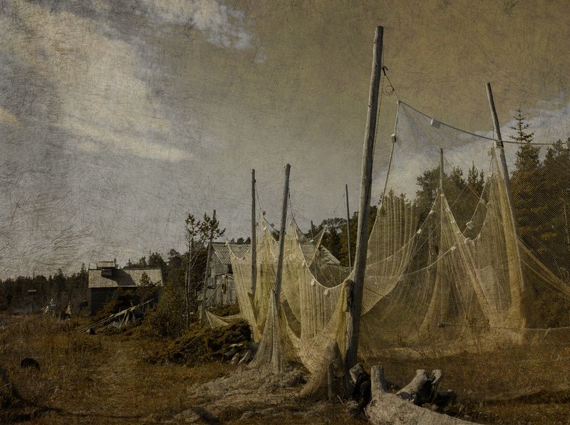 Север белое море Сетиphoto preview