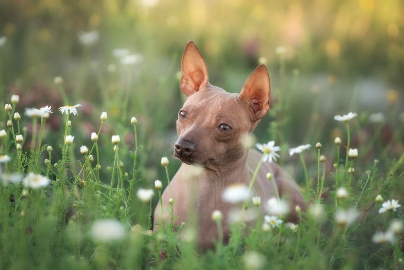 Цветочекphoto preview