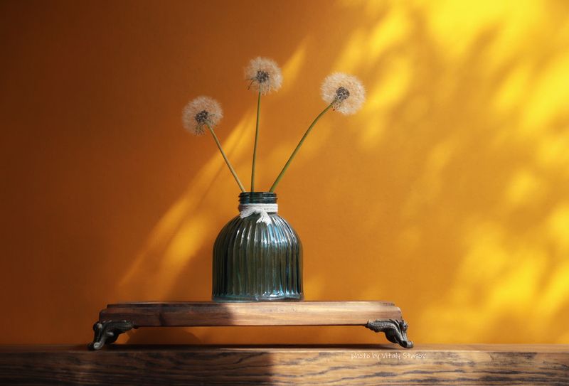 цветы, натюрморт, flowers, одуванчики, still life, flowers Одуванчики на желтом фонеphoto preview