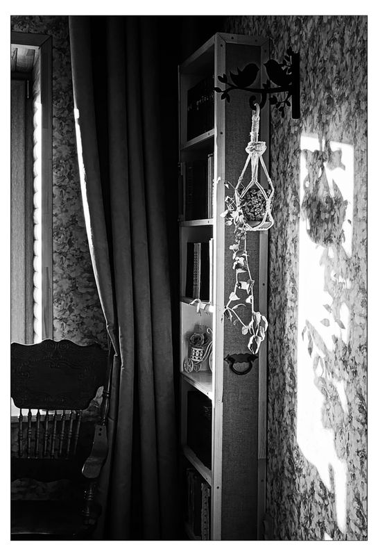 Утреннееphoto preview