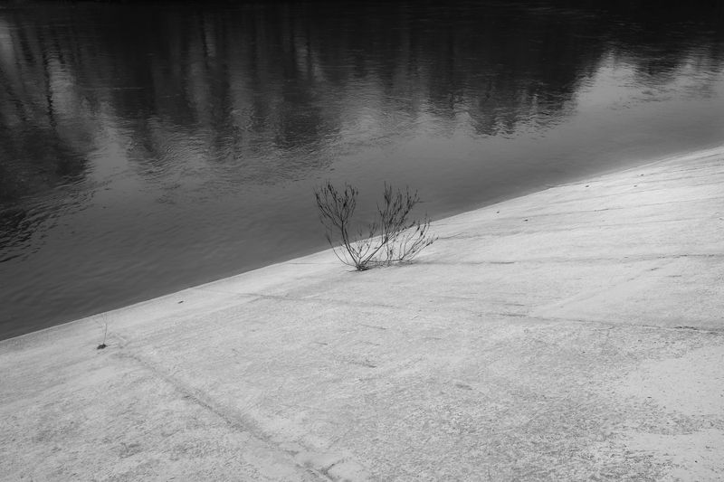 свет, тьма, жизнь Выбрал свет фото превью