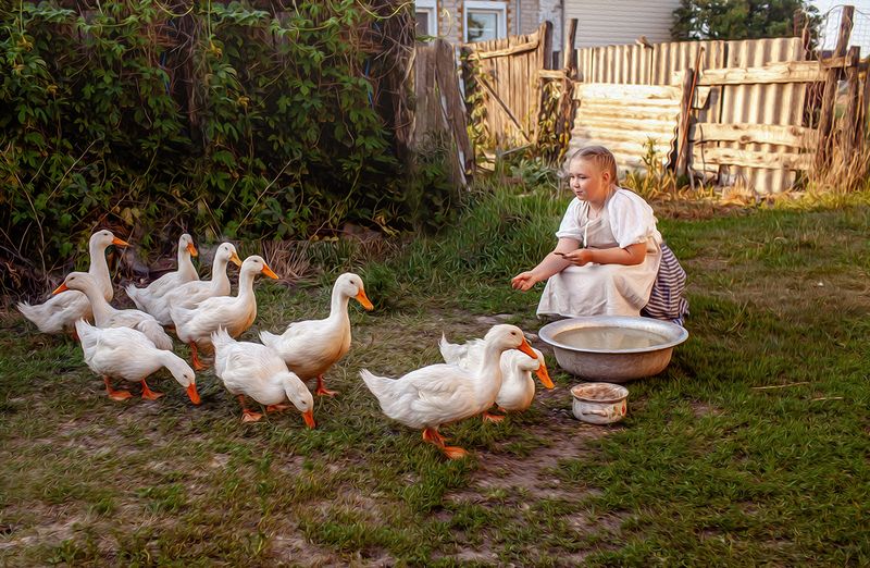 Деревенские историиphoto preview