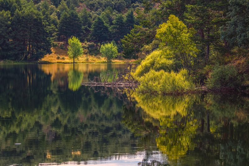 С отражениями фото превью