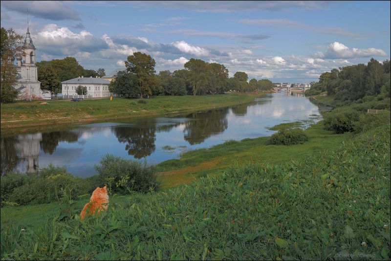 Вологодский кот - созерцательphoto preview