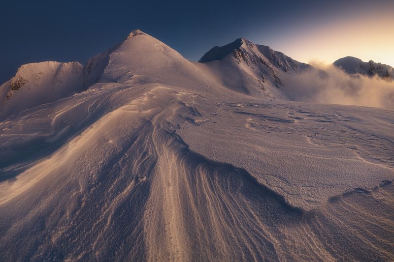 Cast in goldphoto preview