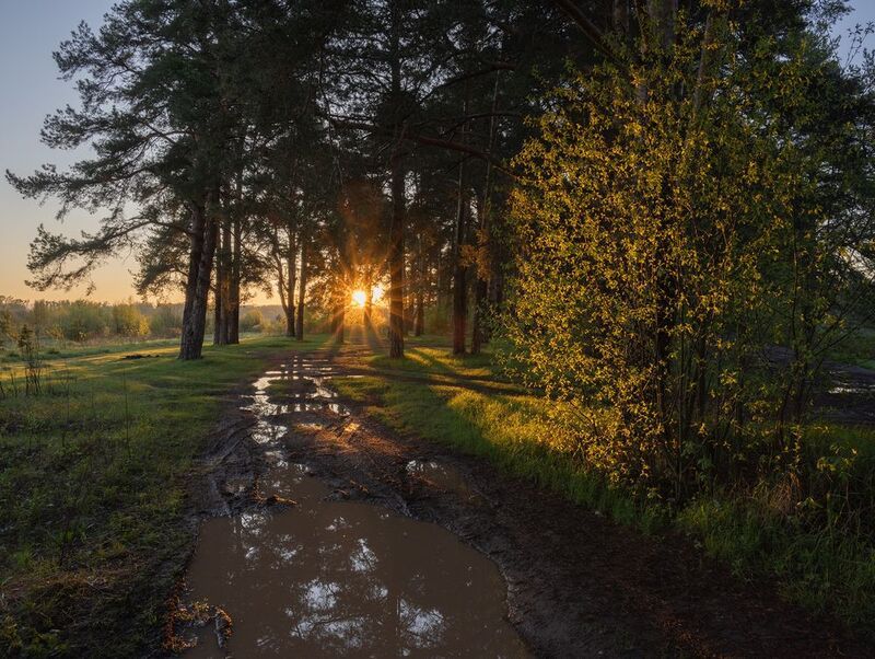 Рассвет после дождя в. заречном паркеphoto preview