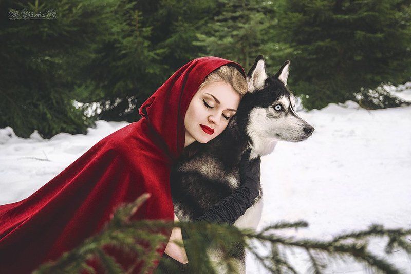 Красная шапочка, фентези, сказка Красная шапочкаphoto preview