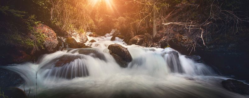 Найди птичекphoto preview