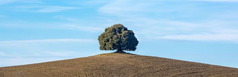 Версия 2.0photo preview