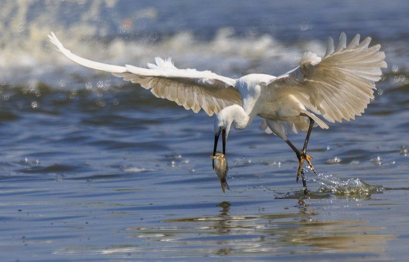 Дефиле!photo preview