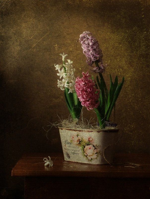 Портфолиоphoto preview