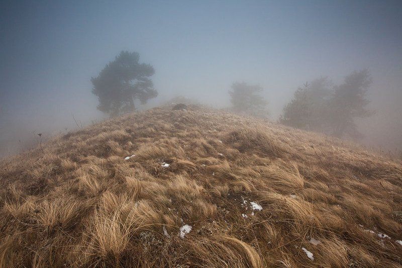 Молокоphoto preview