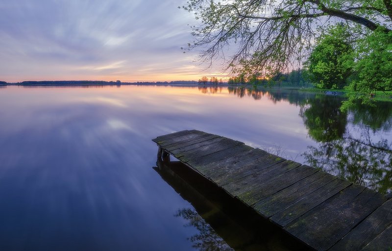 Spring is comingphoto preview