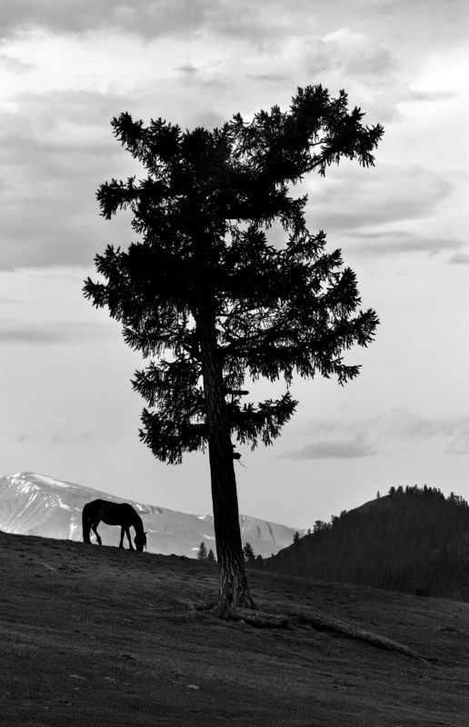 Алтайphoto preview