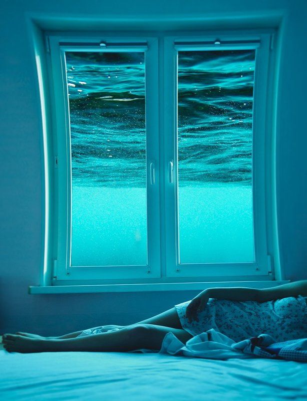 На днеphoto preview