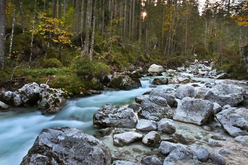 Сказки волшебного лесаphoto preview