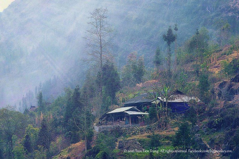 spring dawnphoto preview