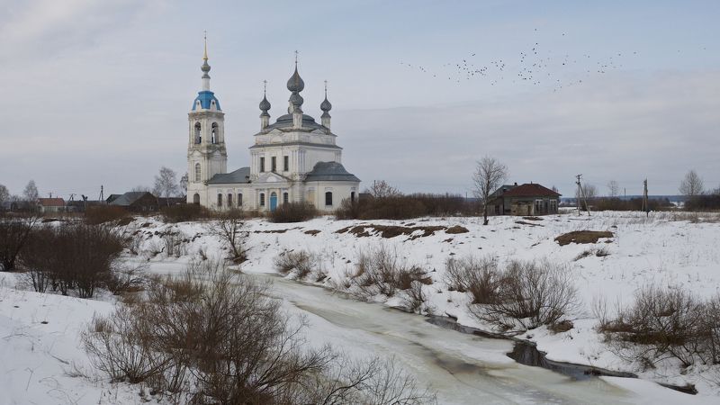 Грачи пока не прилетели.photo preview
