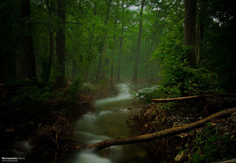 По ручьям Фалазы.photo preview