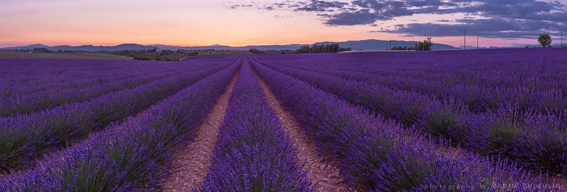 France, Landscape, Lavender, Provence, Sunset, Valansole Пчелиный райphoto preview