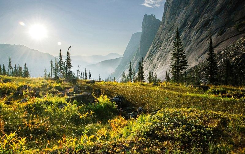 утро в долине реки Тайгишонокphoto preview