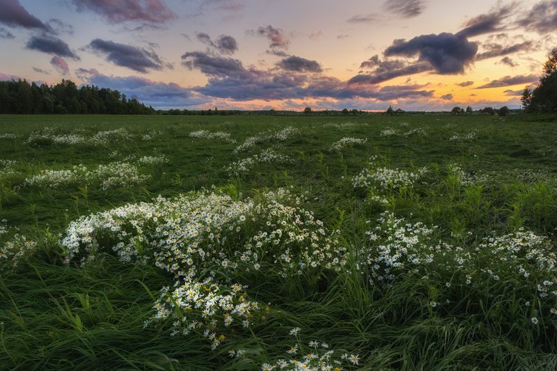 Лужайкаphoto preview