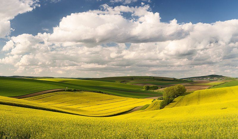 South Moravia Moravian fieldsphoto preview