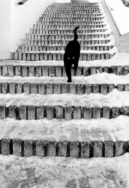 Глаза в глазаphoto preview