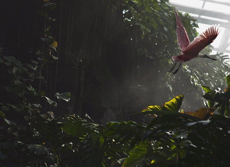 untitled#0photo preview