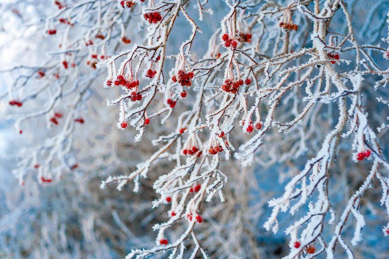 Тёплый холодphoto preview