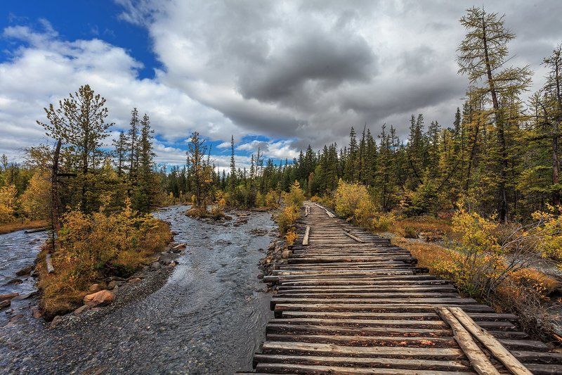 Дороги Алтаяphoto preview