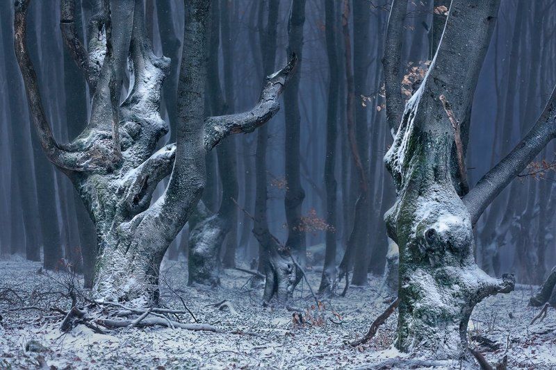 Волшебная гораphoto preview