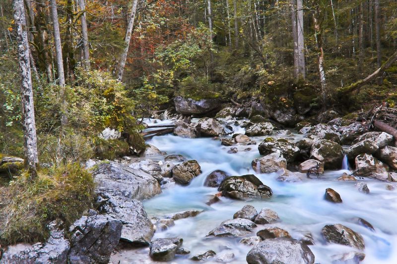 Сказки волшебного лесаphoto preview