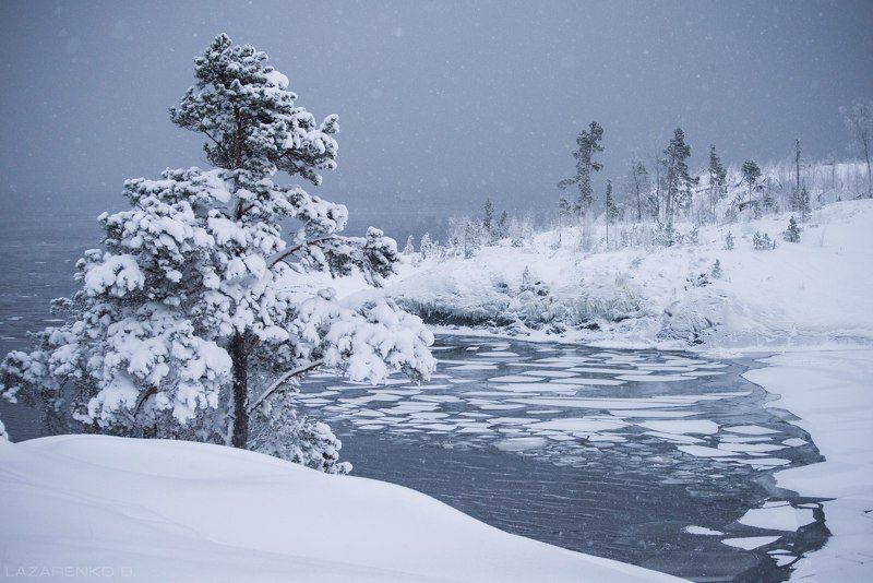 карелия, снегопад, ладога, остров, шхеры , тишина, Silence of the snowfall #2photo preview