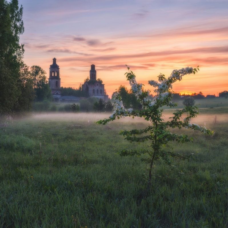 В Пантыле яблони цветутphoto preview