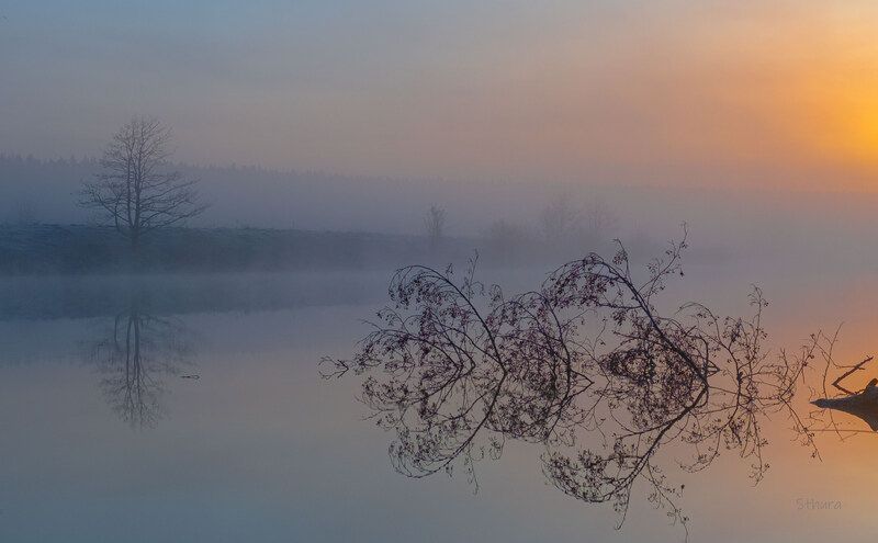 весна рассвет озеро туман природа пейзаж Туманное утро.photo preview