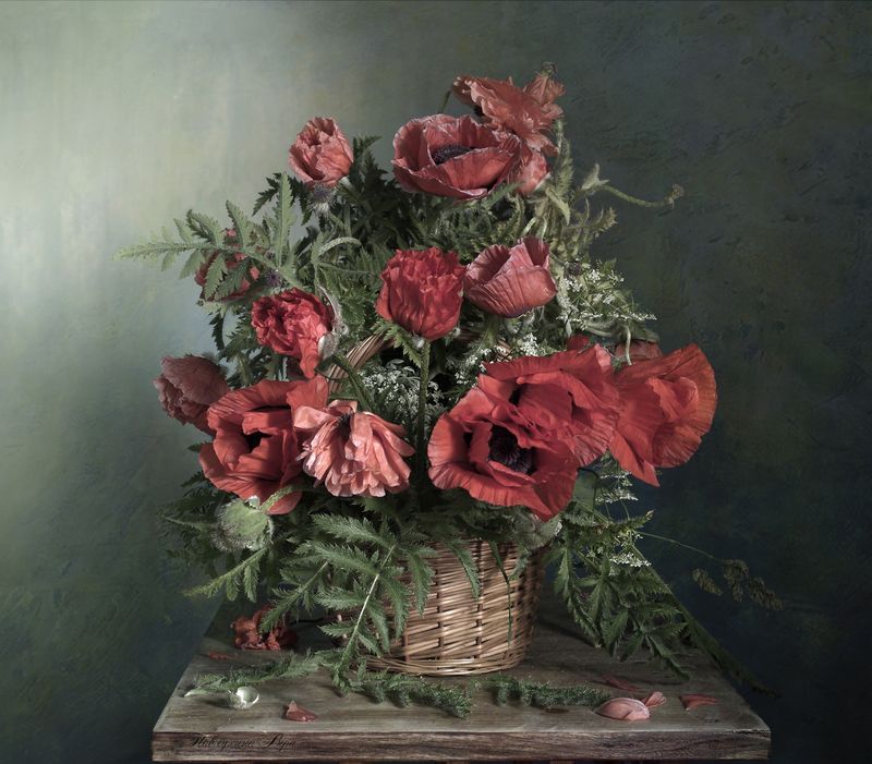 натюрморт,вера павлухина,лето,маки,красные, Маки в корзинке.photo preview