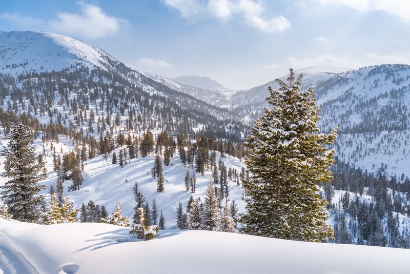 Зима, снег, Хамар-Дабан, Прибайкалье, закат Перед Чёртовыми воротамиphoto preview