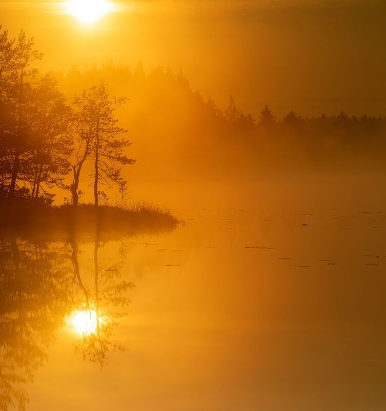 болото, карелия, туман, утро, рассвет, фототур Утро на озере фото превью