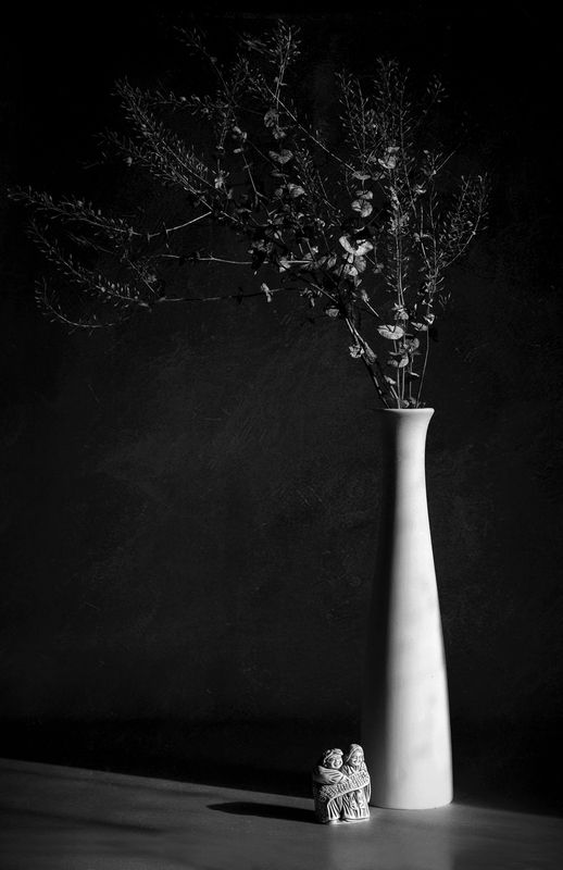 Мудрецыphoto preview