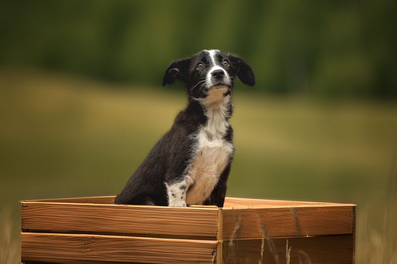 Жду семью очень хочу домойphoto preview