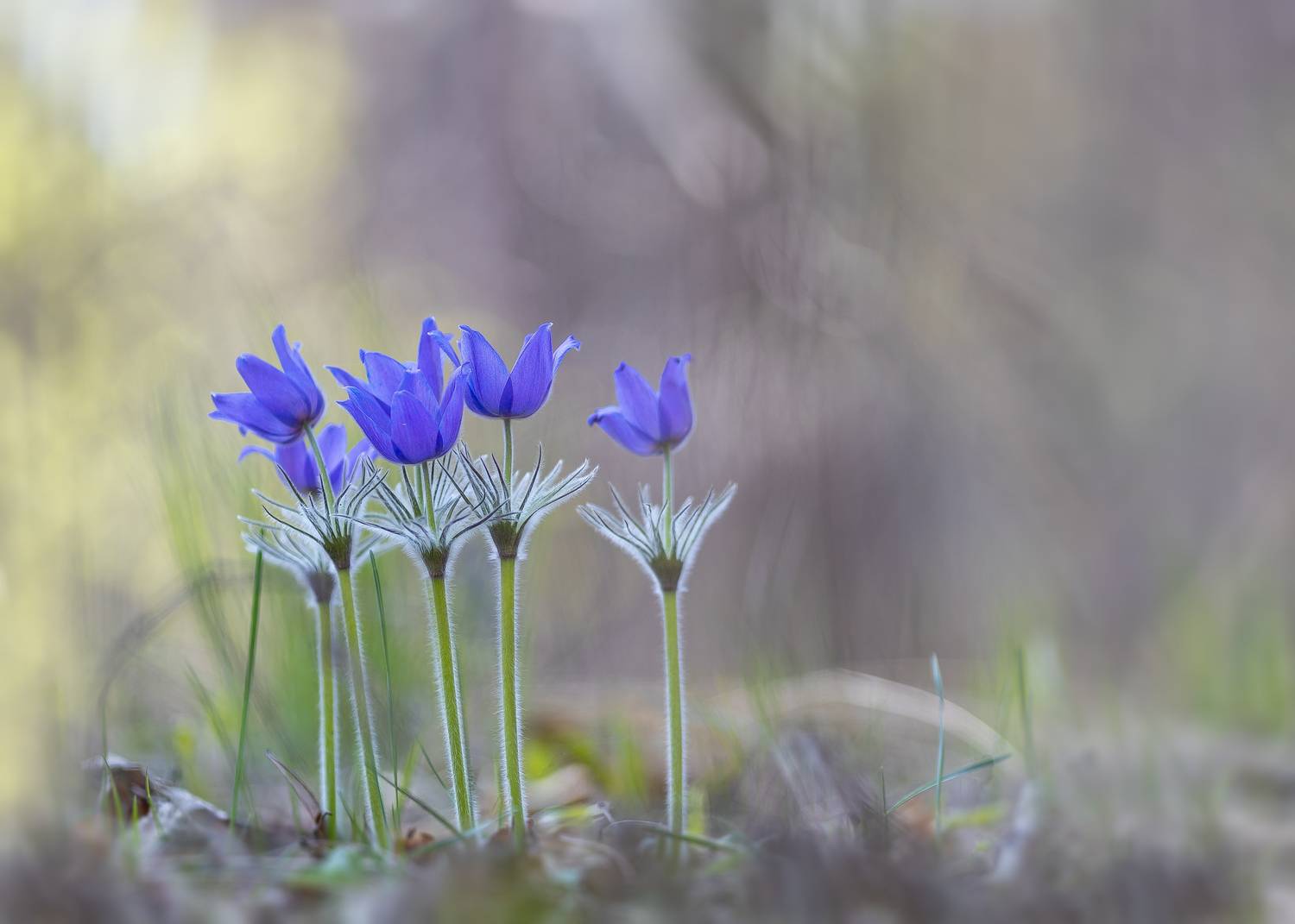 Автор: Кузнецов Дмитрий , Кузнецов Дмитрий